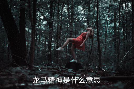 湖北國(guó)稅精神是什么意思，神志不清精神不能集中是什么詞的意思