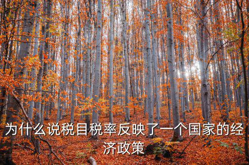 為什么要規(guī)定稅目，稅目是什么意思