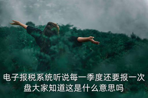 電子報(bào)稅系統(tǒng)聽說(shuō)每一季度還要報(bào)一次盤大家知道這是什么意思嗎