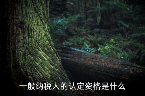 一般納稅人資格證是什么，請(qǐng)問一般納稅人應(yīng)有什么證
