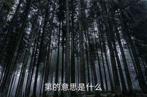 第稽什么意思，第是什么意思