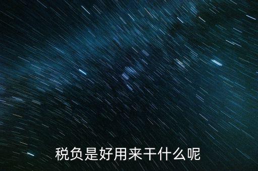 稅負是好用來干什么呢