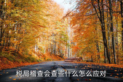 發(fā)票稽查查什么，稅局稽查會(huì)查些什么怎么應(yīng)對(duì)