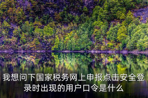 我想問下國家稅務網(wǎng)上申報點擊安全登錄時出現(xiàn)的用戶口令是什么