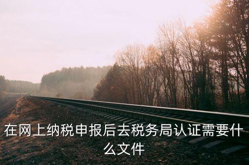 在網(wǎng)上納稅申報(bào)后去稅務(wù)局認(rèn)證需要什么文件