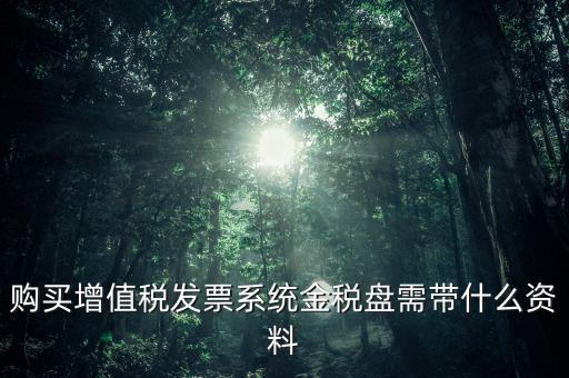 購買金稅盤要什么資料，購買增值稅發(fā)票系統(tǒng)金稅盤需帶什么資料