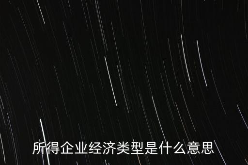 所得項目是什么意思，所得企業(yè)經(jīng)濟類型是什么意思