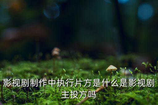 什么是分立主導方，股權分立是什么意思