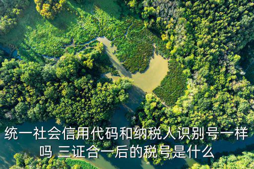 無證合一后稅號是什么意思，五證合一之后怎么查看稅號