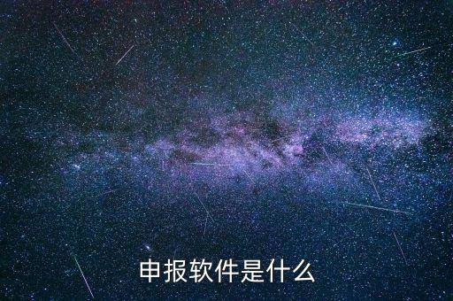 國稅申報軟件叫什么，申報軟件是什么