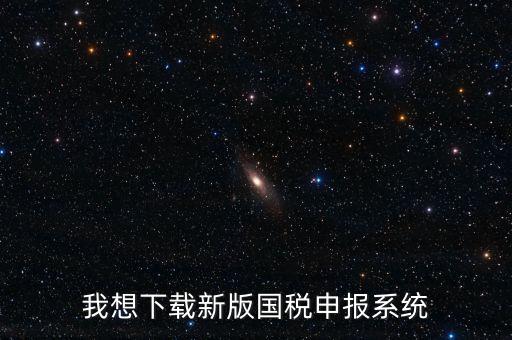 新疆國稅報稅什么系統(tǒng)下載，我想下載新版國稅申報系統(tǒng)