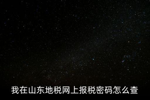 我在山東地稅網上報稅密碼怎么查