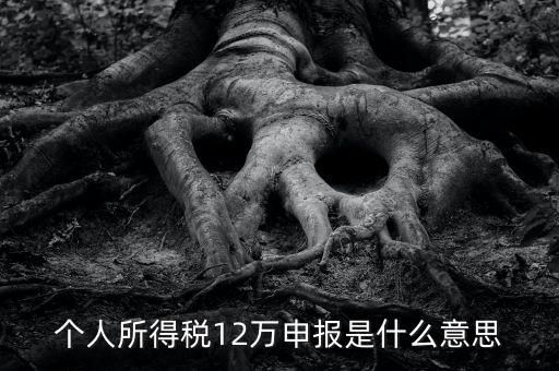 申報個稅是什么意思，12萬以上個人所得稅申報是什么意思