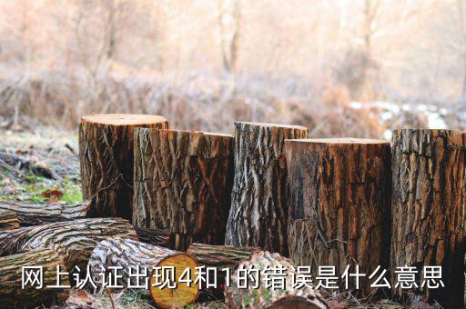 認證發(fā)票4是什么問題，認證發(fā)票通常會碰到哪些問題