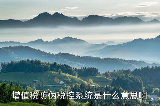 防偽稅控盤是什么，什么是防偽稅控系統(tǒng)金稅請解釋詳細明白點