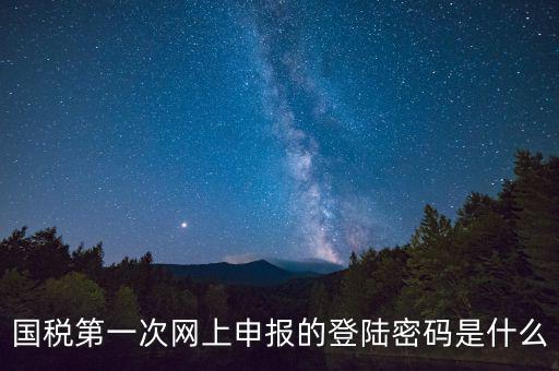 國稅登錄賬號(hào)密碼是什么意思，國稅第一次網(wǎng)上申報(bào)的登陸密碼是什么