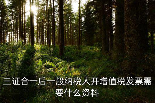 三證合一后刻發(fā)票章需要帶什么資料，三證合一后刻發(fā)票章需要提供什么資料