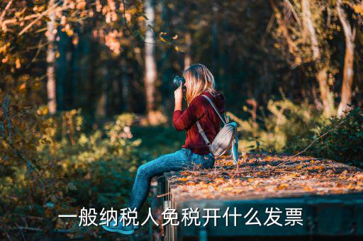 一般納稅人領什么票，一般納稅人免稅開什么發(fā)票