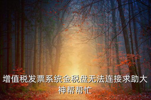 為什么金稅盤連接不上，金稅盤直接進(jìn)不去怎么回事啊