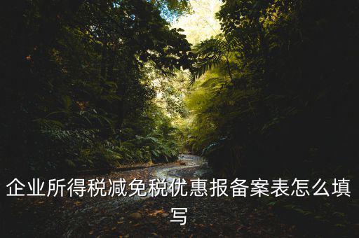 什么是稅收優(yōu)惠備案表，企業(yè)所得稅優(yōu)惠備案表填寫急
