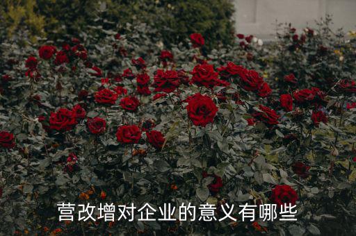 營改增對(duì)企業(yè)的意義有哪些