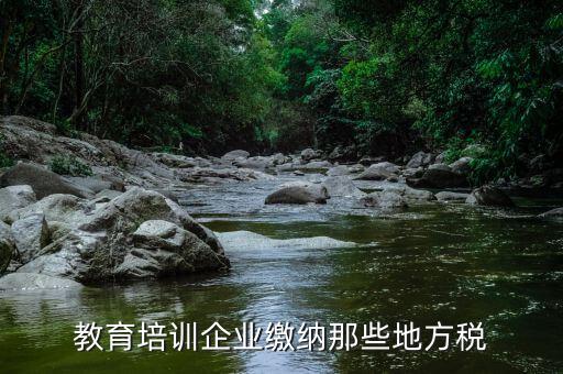 教育培訓(xùn)班要交什么稅，教育培訓(xùn)企業(yè)繳納那些地方稅