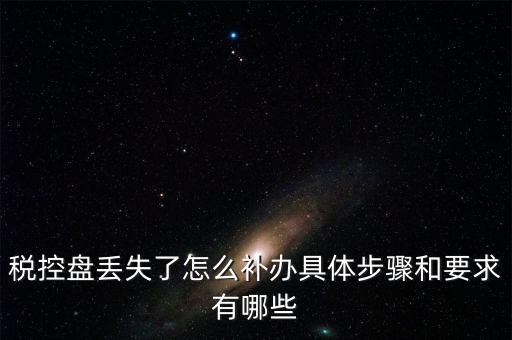 稅控盤(pán)丟失了怎么補(bǔ)辦具體步驟和要求有哪些