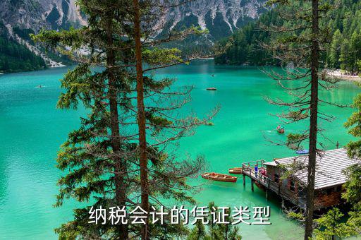 應(yīng)納稅憑證種類(lèi)是什么意思，總賬里關(guān)于記賬憑證的種類(lèi)和號(hào)數(shù)是什么意思