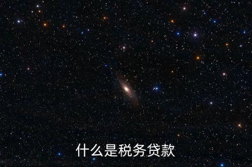 什么是稅務貸款