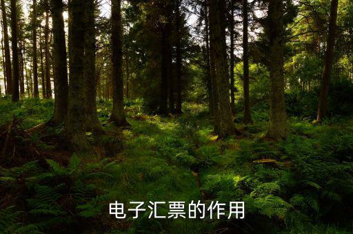 電子發(fā)票作用是什么，電子發(fā)票系統(tǒng)能做什么用