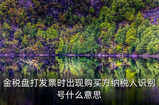 購貨方識別號是什么，開票方識別號是什么意思