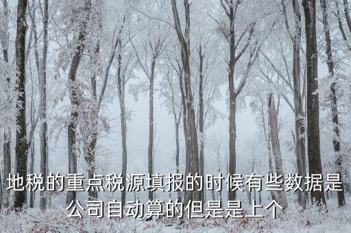 為什么重點(diǎn)稅源是上個(gè)月的數(shù)據(jù)，地稅的重點(diǎn)稅源填報(bào)的時(shí)候有些數(shù)據(jù)是公司自動(dòng)算的但是是上個(gè)