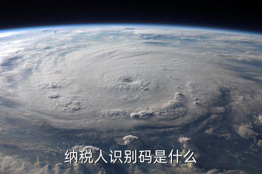 納銳人識別號是什么，納稅人識別碼是什么