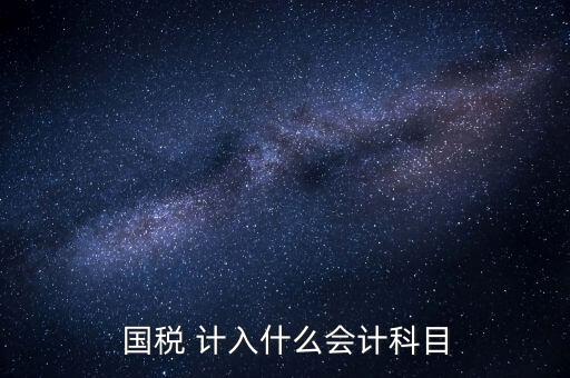 國稅申報記入什么科目，付國稅應計入什么科目求解啊