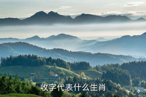 稅字代表什么生肖，十二生肖各代表什么字