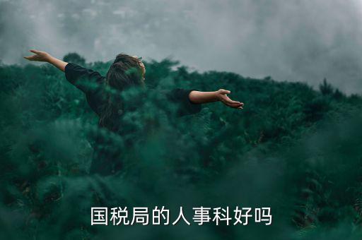 國稅人事科做什么，縣國稅局的人事歸哪里管基層分局的級別