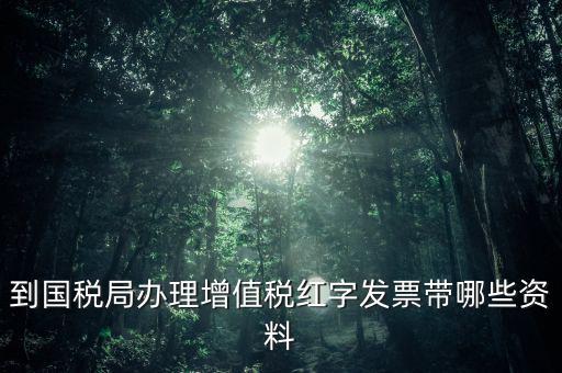 開(kāi)紅字增票要帶些什么，增值稅普通發(fā)票開(kāi)具紅字發(fā)票需要什么資料