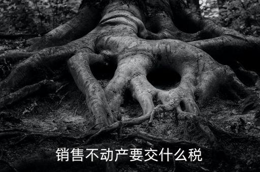 出售不動產(chǎn) 交什么稅，銷售不動產(chǎn)要交什么稅