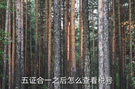 五證合一后納稅人識別號是什么，五證合一之后怎么查看稅號