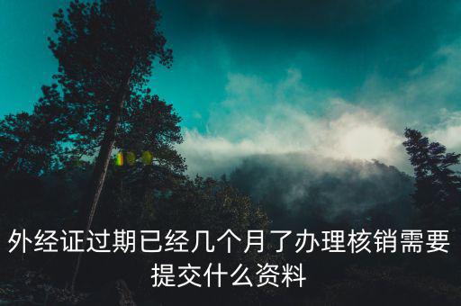 上海外經(jīng)證核銷資料要些什么，外經(jīng)證過期已經(jīng)幾個月了辦理核銷需要提交什么資料