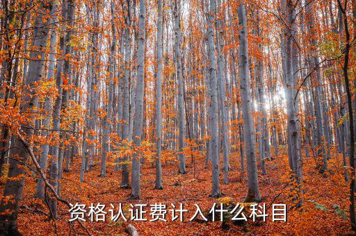 認(rèn)證服務(wù)費(fèi)什么，申請(qǐng)微信公眾賬號(hào)認(rèn)證服務(wù)費(fèi)什么意思