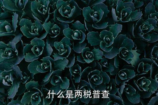 兩稅普查是什么意思，進(jìn)口兩稅是什么