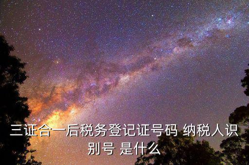 納稅人識(shí)別號(hào) 稅務(wù)代碼是什么意思，納稅人識(shí)別號(hào)是什么