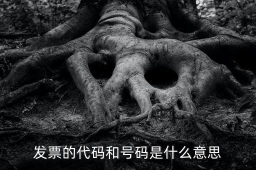 什么是打發(fā)票代碼，請教各位什么事發(fā)票代碼