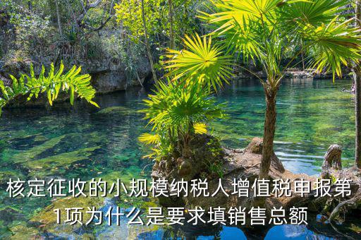 為什么要填增值稅申報(bào)，為什么公司老是要申報(bào)稅