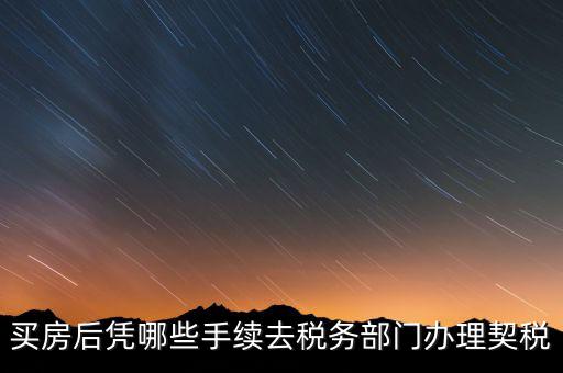 購房要在國稅辦什么，現(xiàn)在買房要辦些什么證件買房者與賣房者所交稅務(wù)有那些夠房者現(xiàn)
