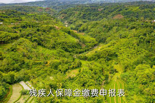 繳納殘疾人保障金 什么是104報(bào)表，什么叫104表