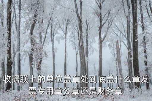 收據(jù)蓋章蓋是什么樣，收據(jù)上蓋什么章
