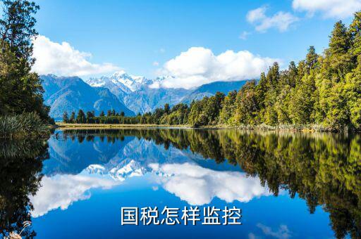 國(guó)稅監(jiān)控是什么，公司法人在稅務(wù)上顯示遭強(qiáng)制監(jiān)控是什么意思