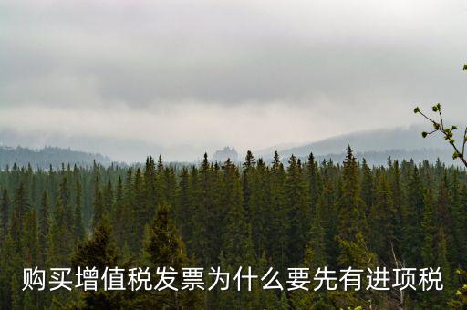 為什么要買進項票，購買增值稅發(fā)票為什么要先有進項稅